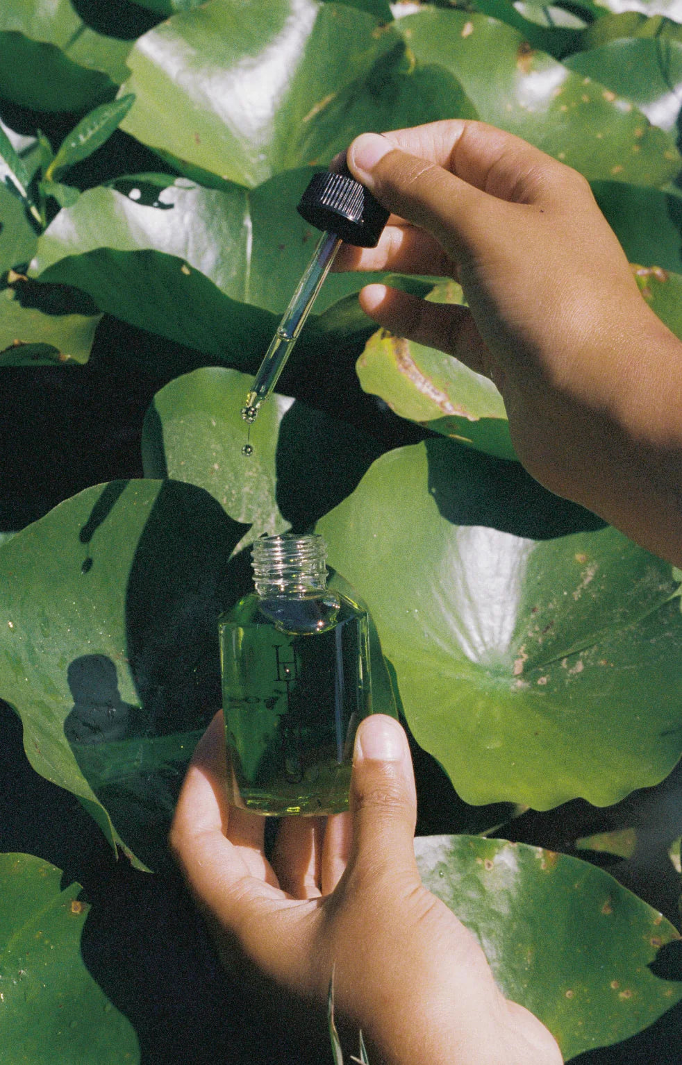 Hinu Hair Growth Oil - 30mL