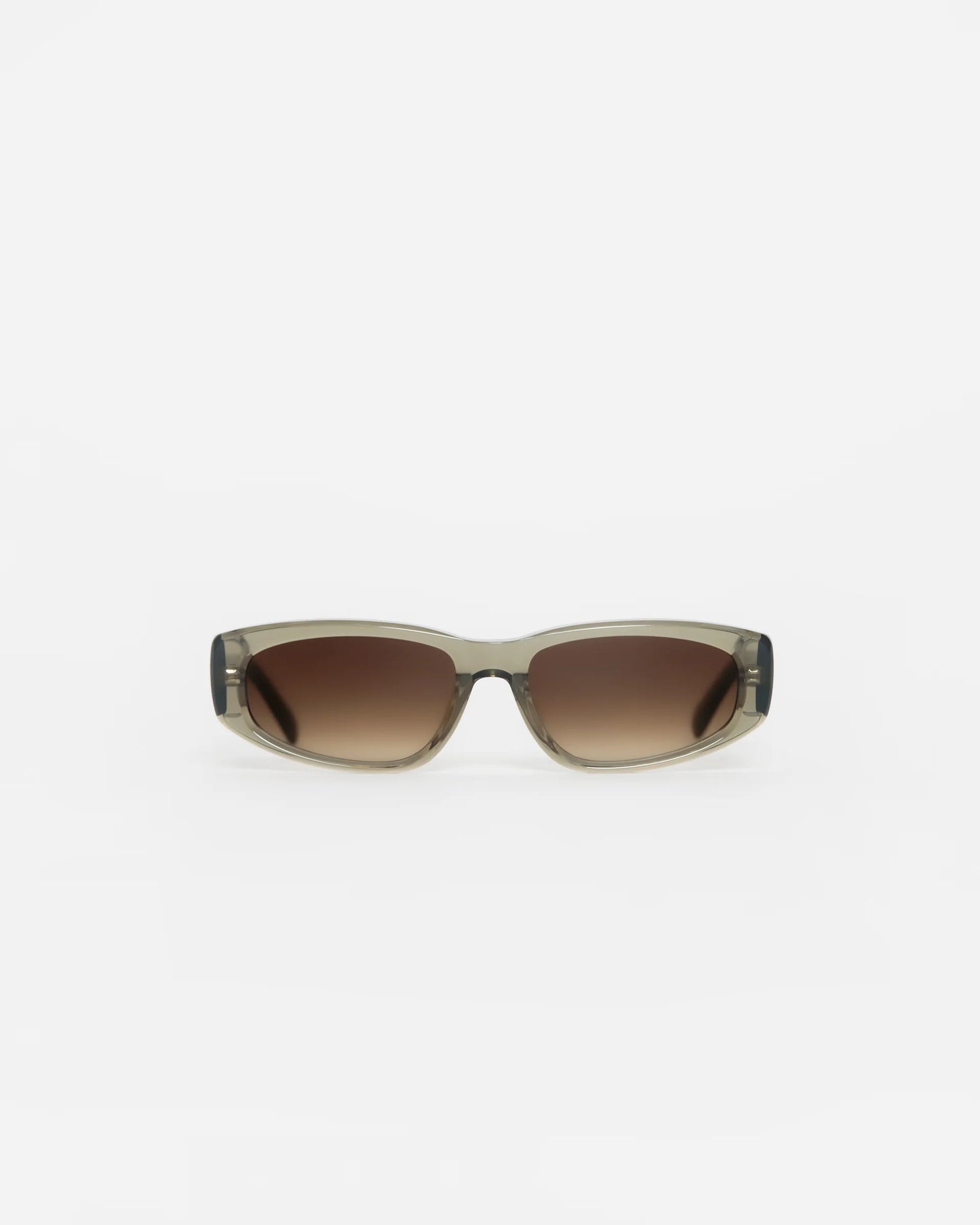 Havelock Sunglasses - Olive