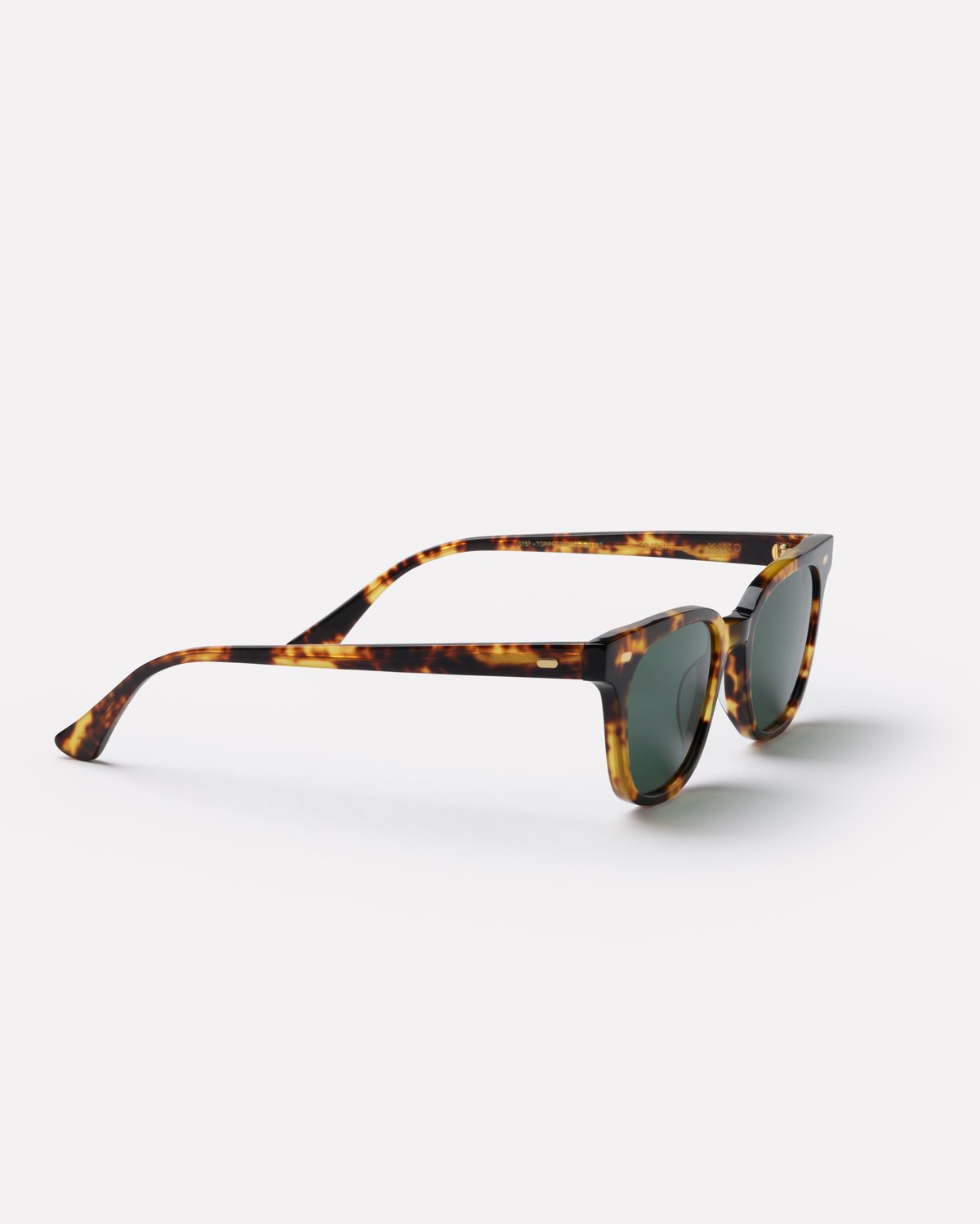 Kino - Tortoise Polished / Green Polarised